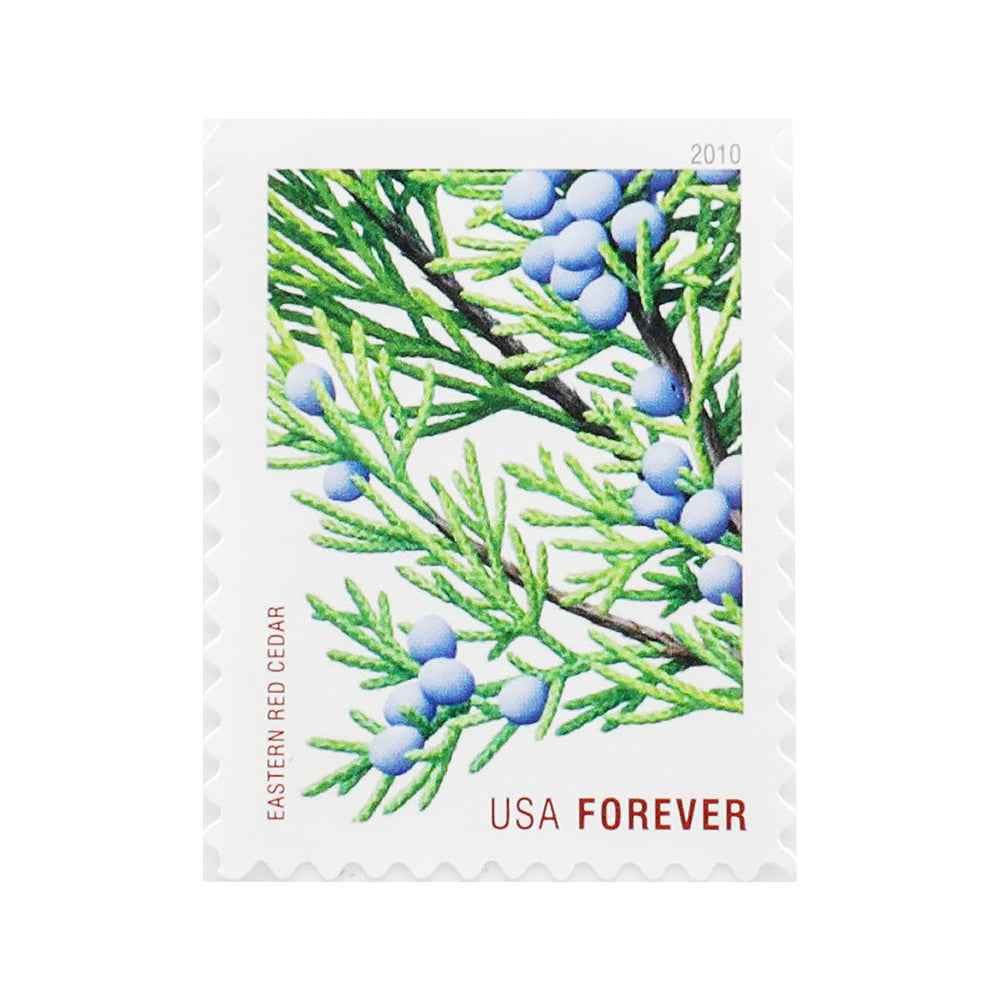 2010 Holiday Evergreens Forever First Class Postage Stamps