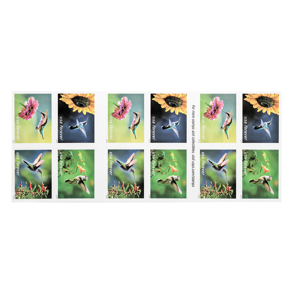 2024 Garden Delights Forever First Class Postage Stamps